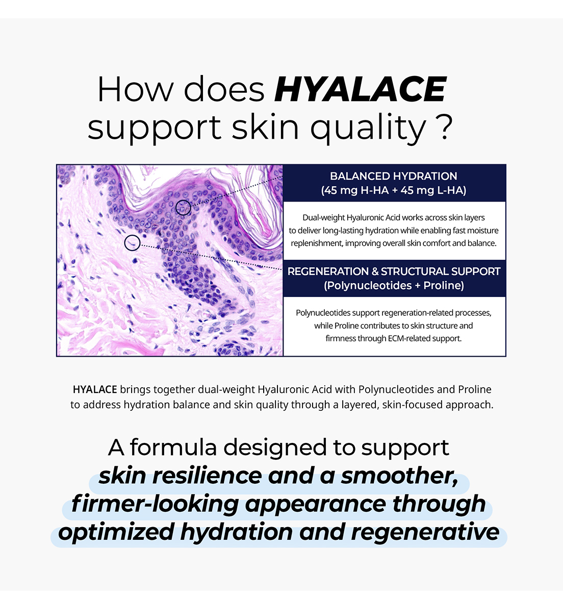 Hyalace - image 11