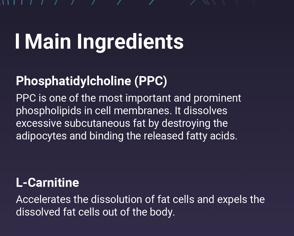 LIPORAH S (for body) - image 10
