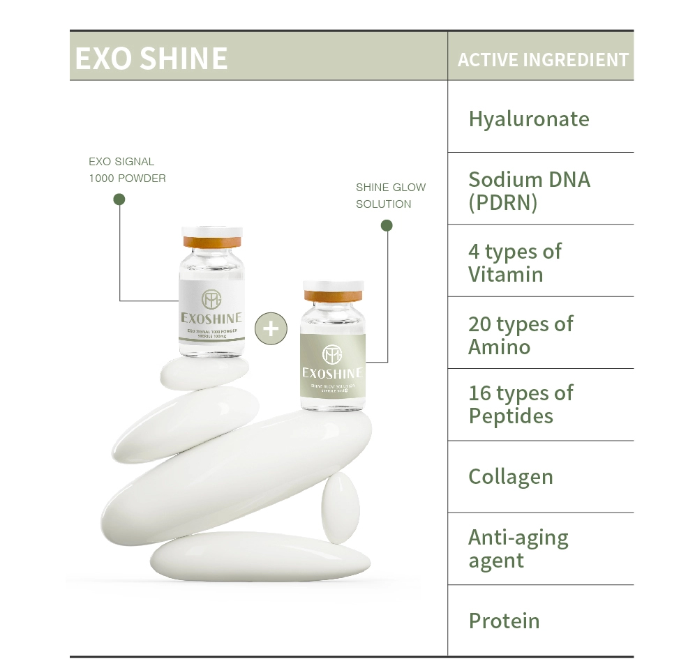 GTM Exoshine - image 15