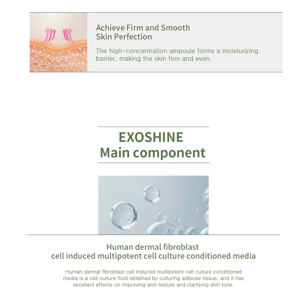 GTM Exoshine - image 17