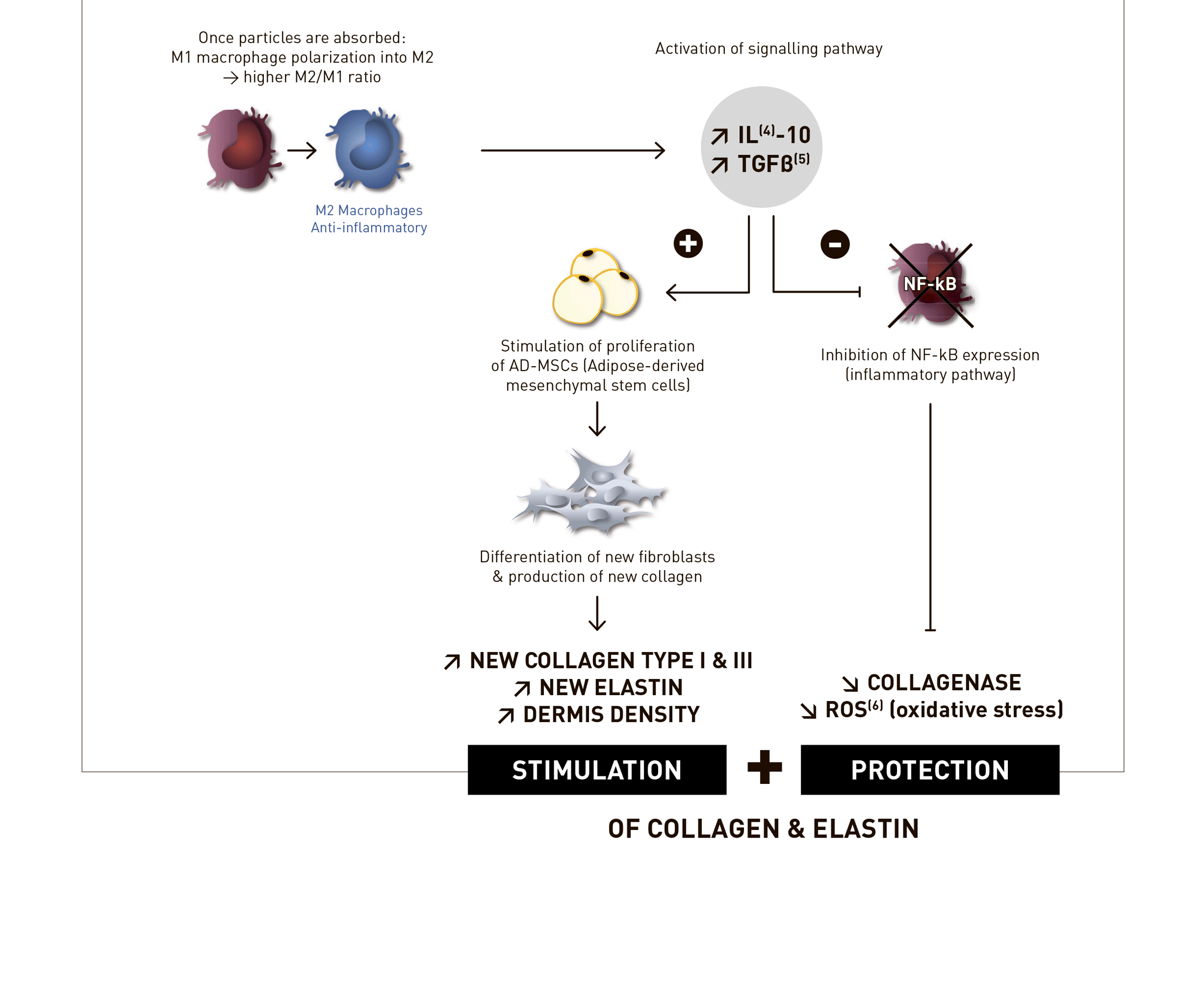 Juvelook Volume (200mg) - image 28