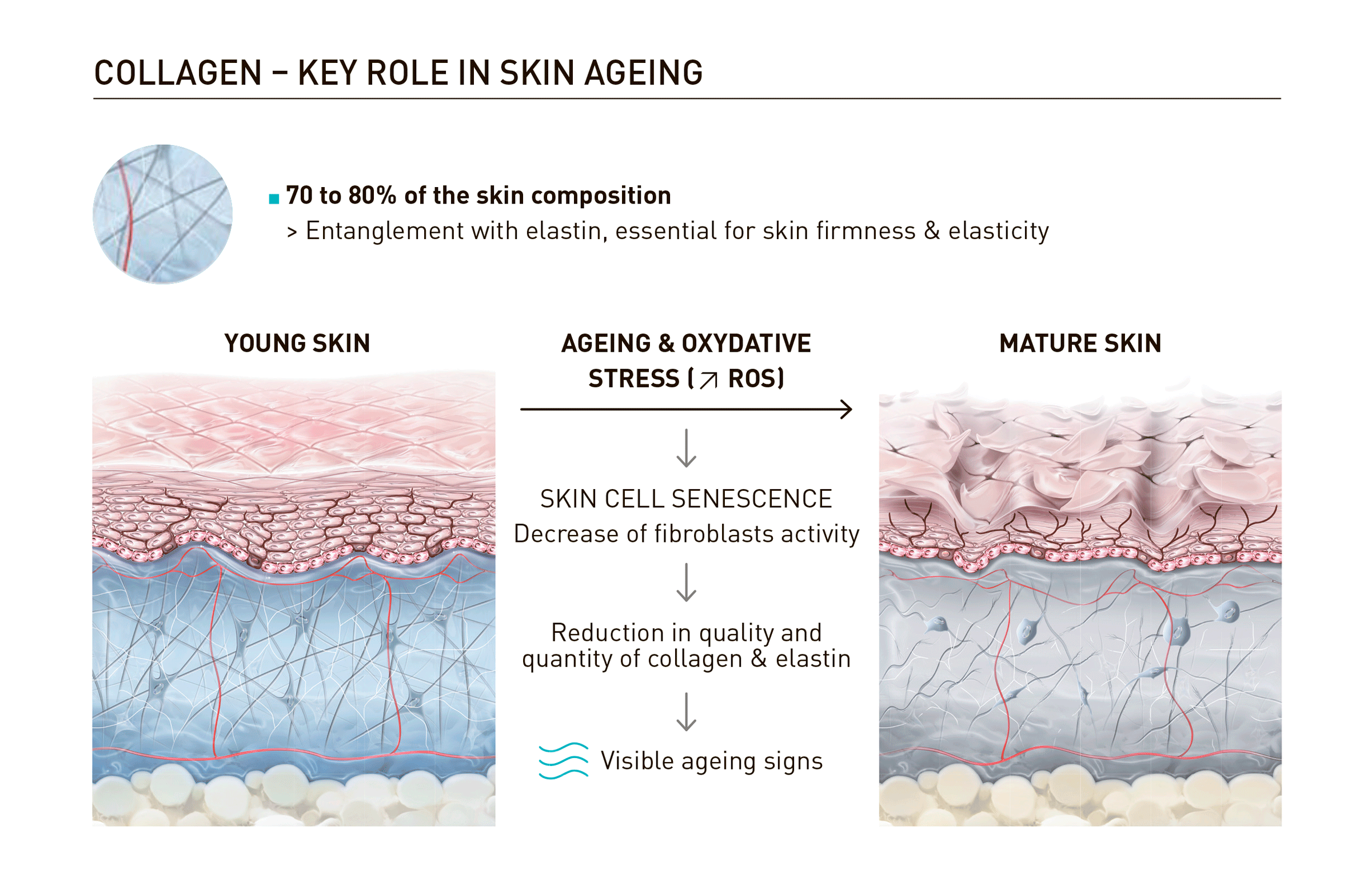 Juvelook Volume (200mg) - image 20
