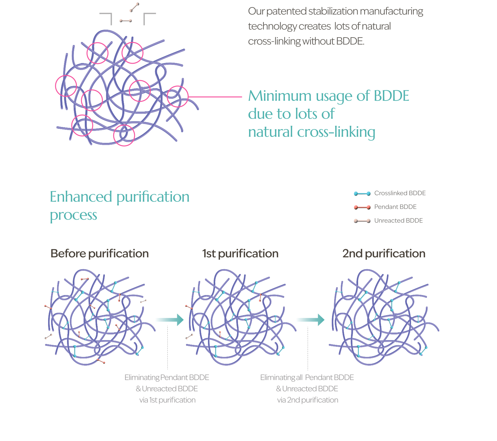 Sedy Fill Body Filler 80ml - image 11
