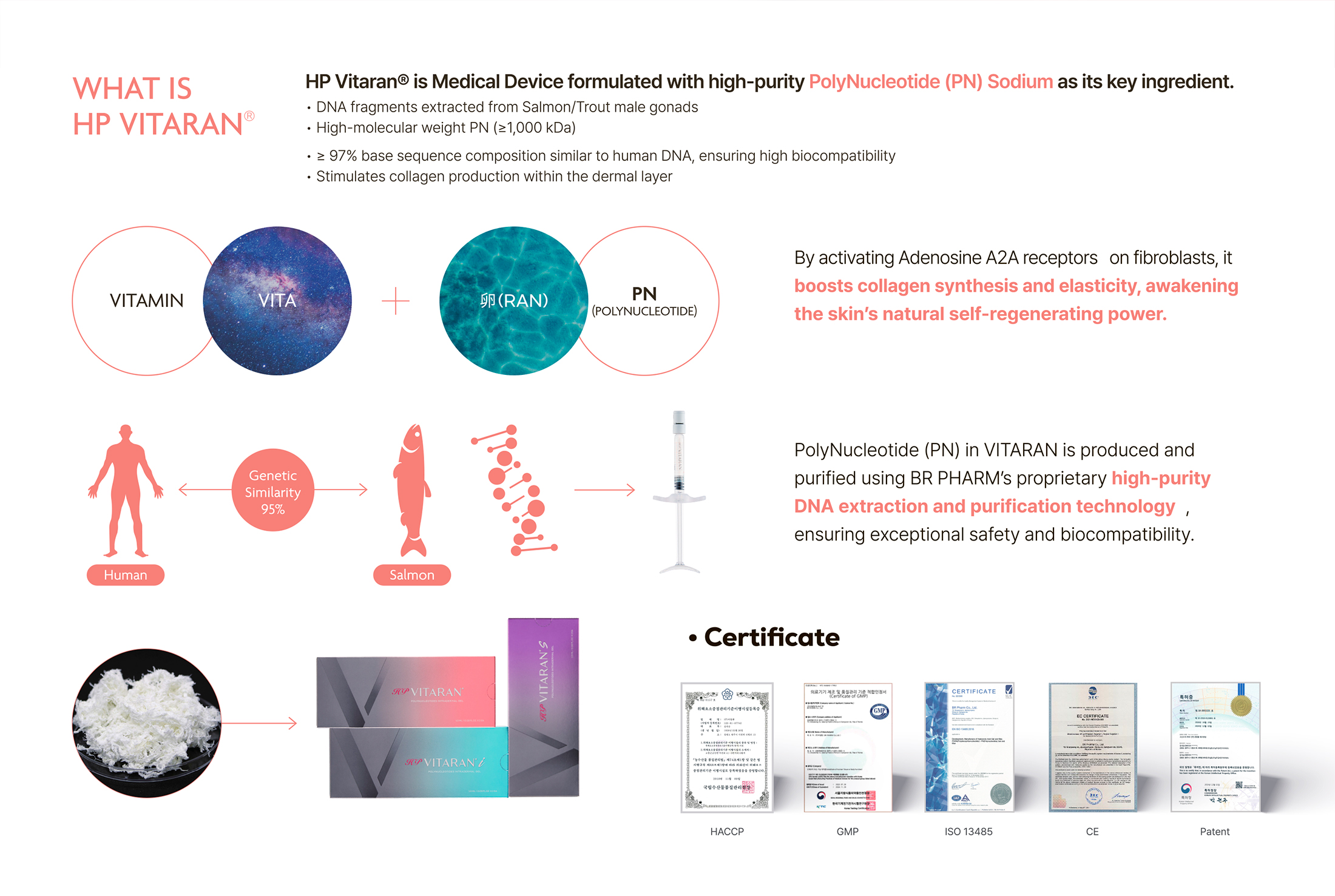 HP Vitaran - image 9