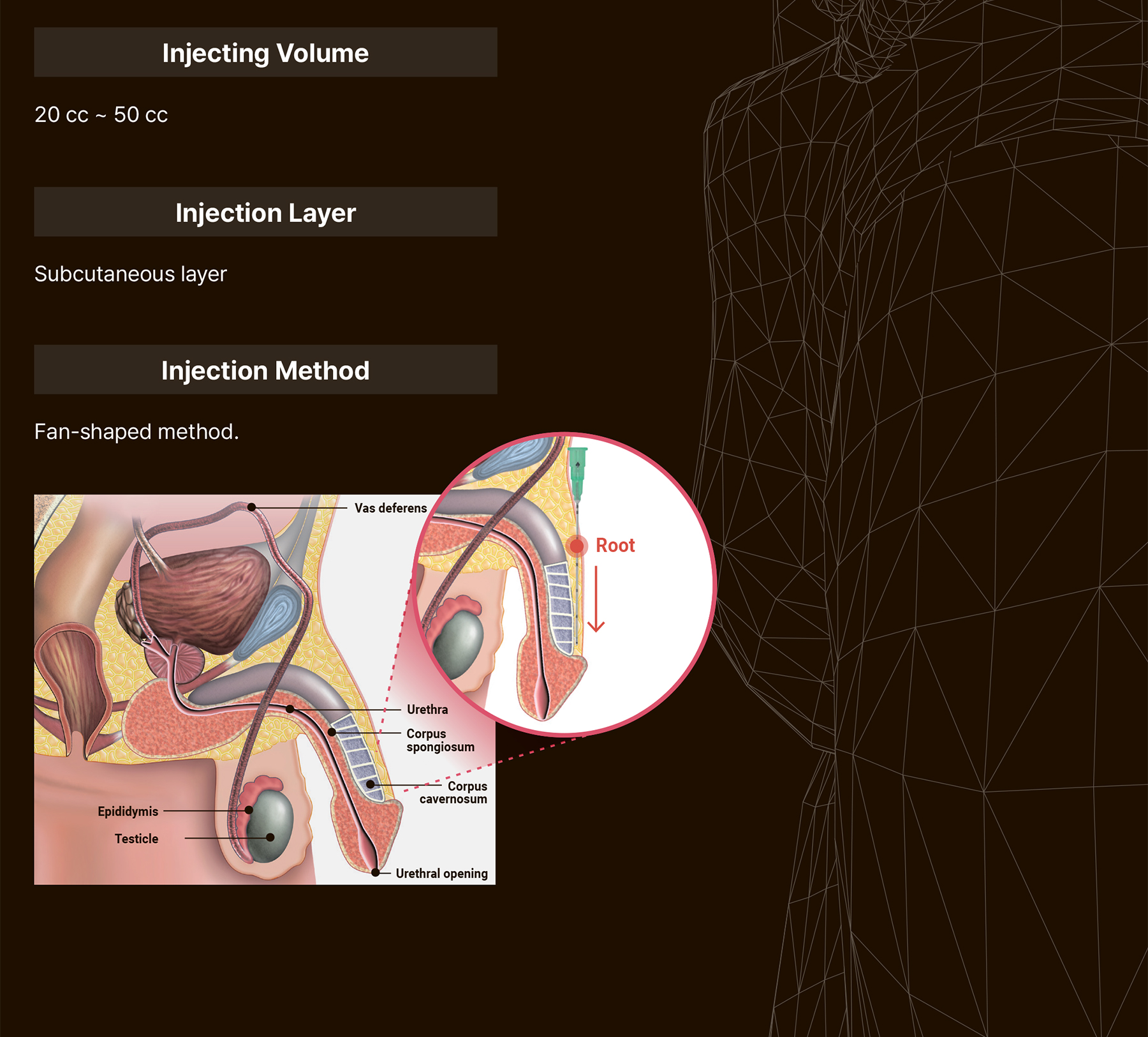 Maxy Fill Body Filler 70 ml - image 27