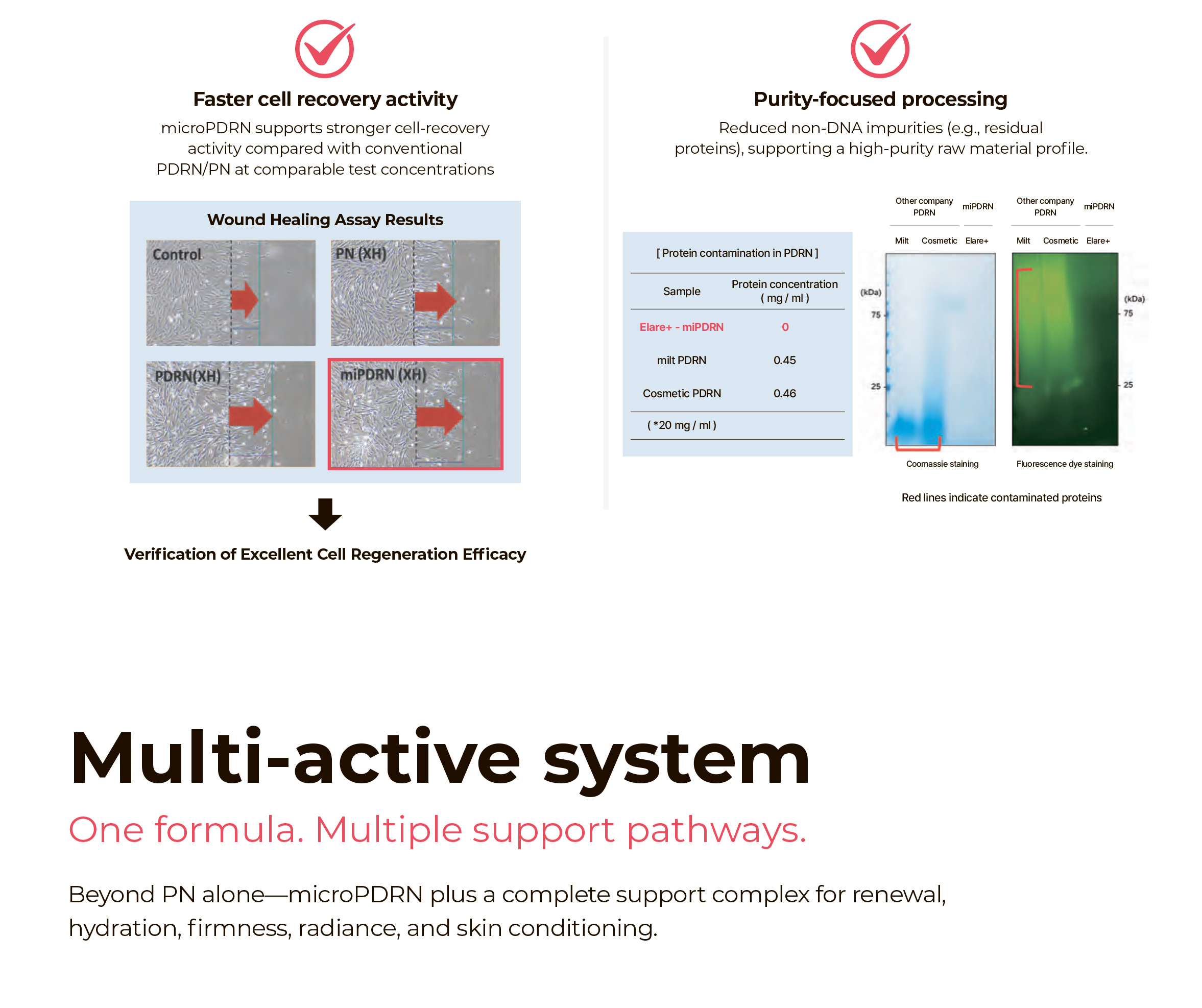 Elare PN Red Pro - image 15