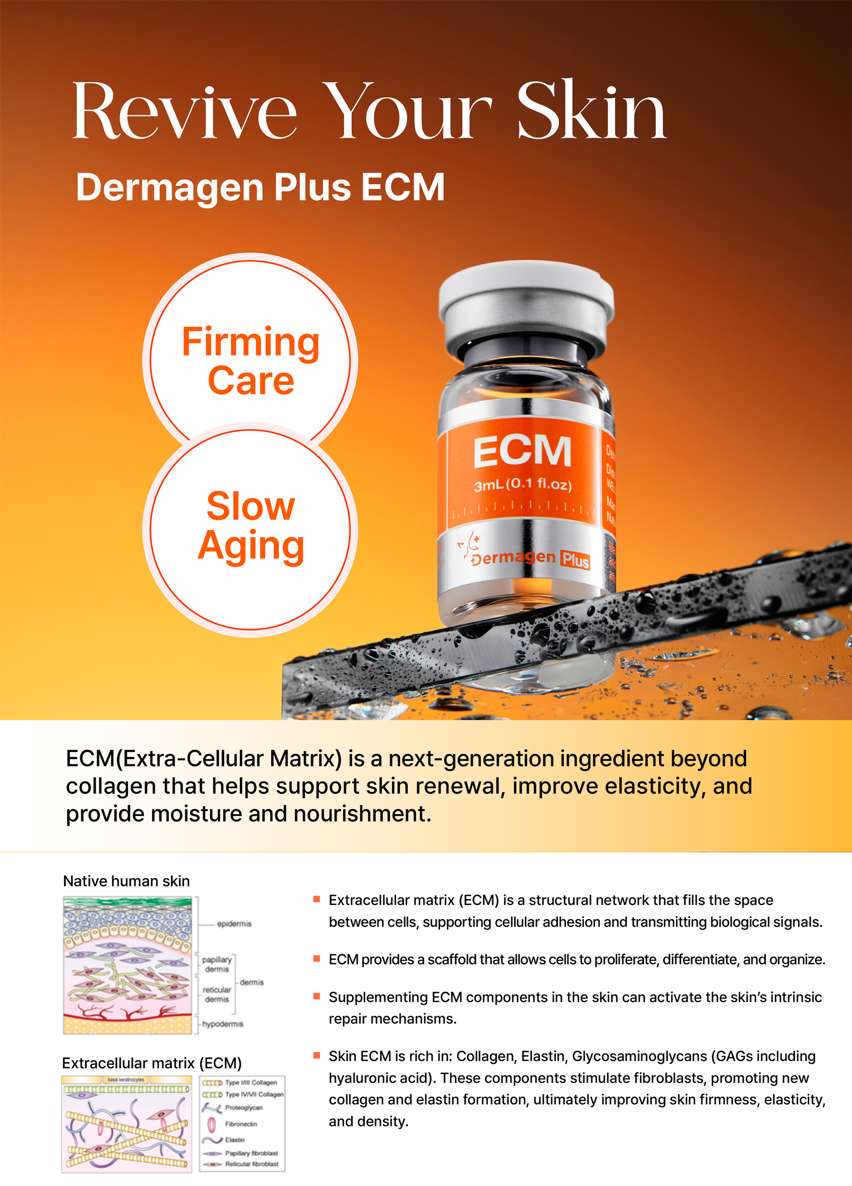 Dermagen Plus ECM - image 11