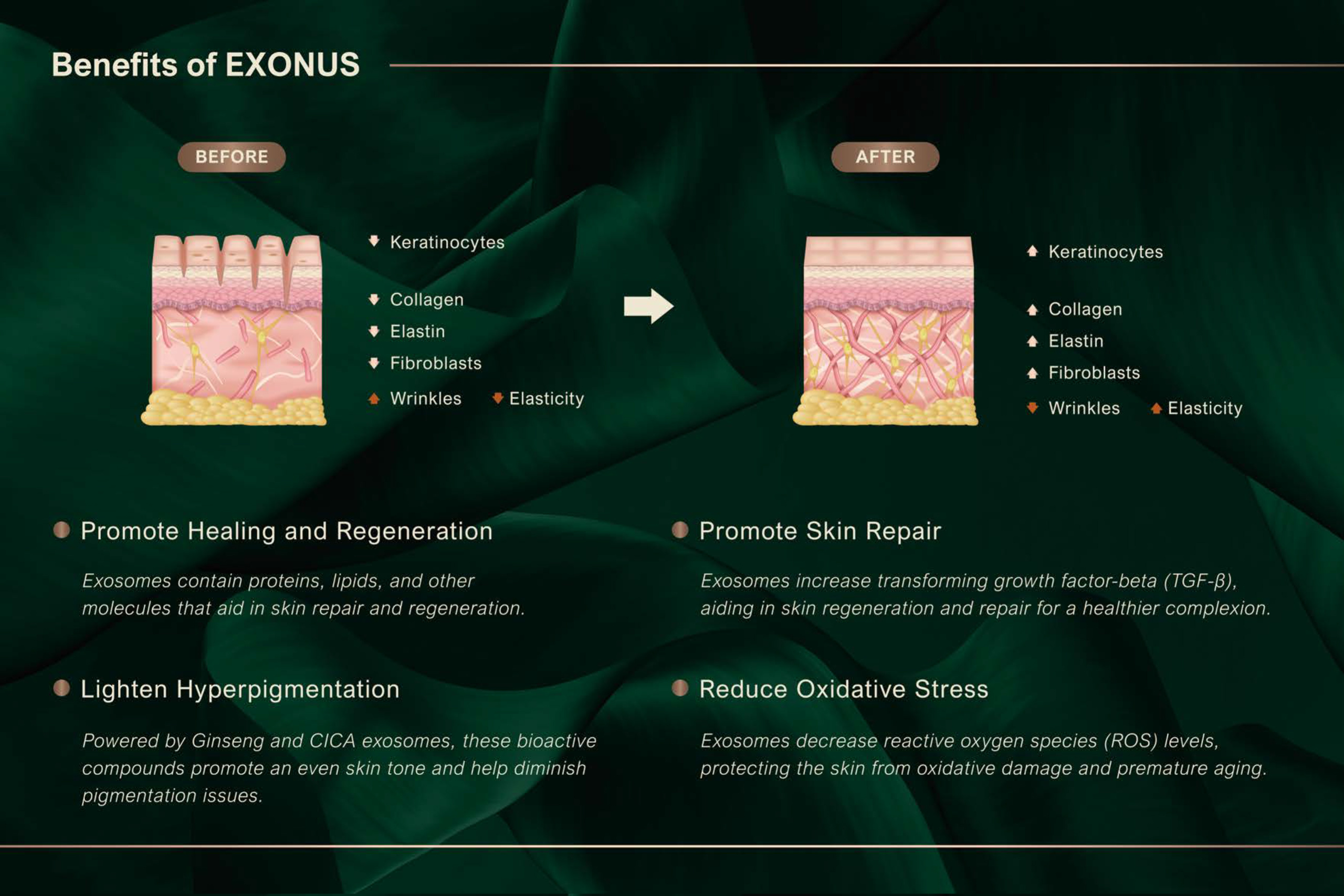 Exonus - image 17