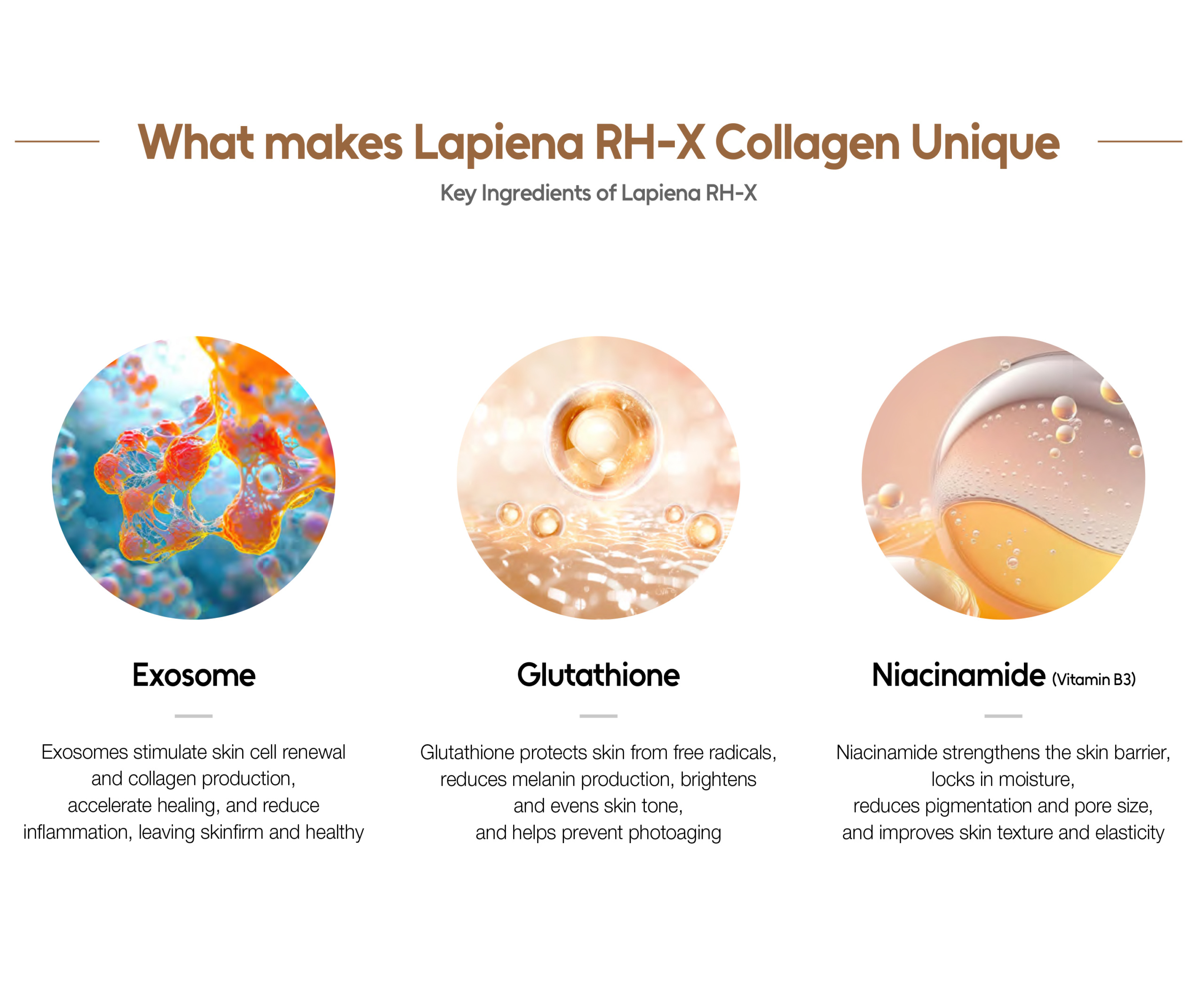 Lapiena RH-X Collagen - image 18