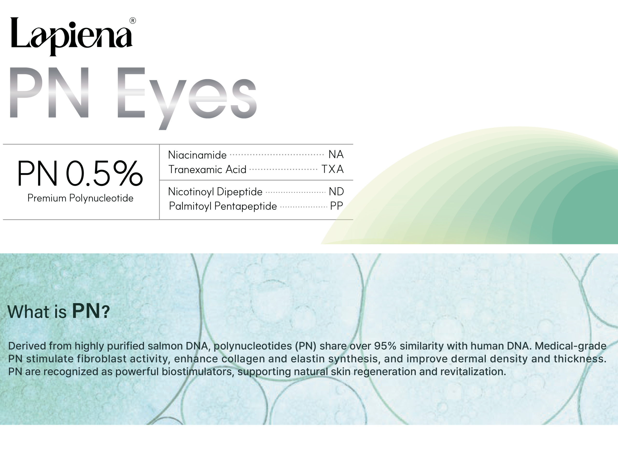 Lapiena PN Eyes - image 11