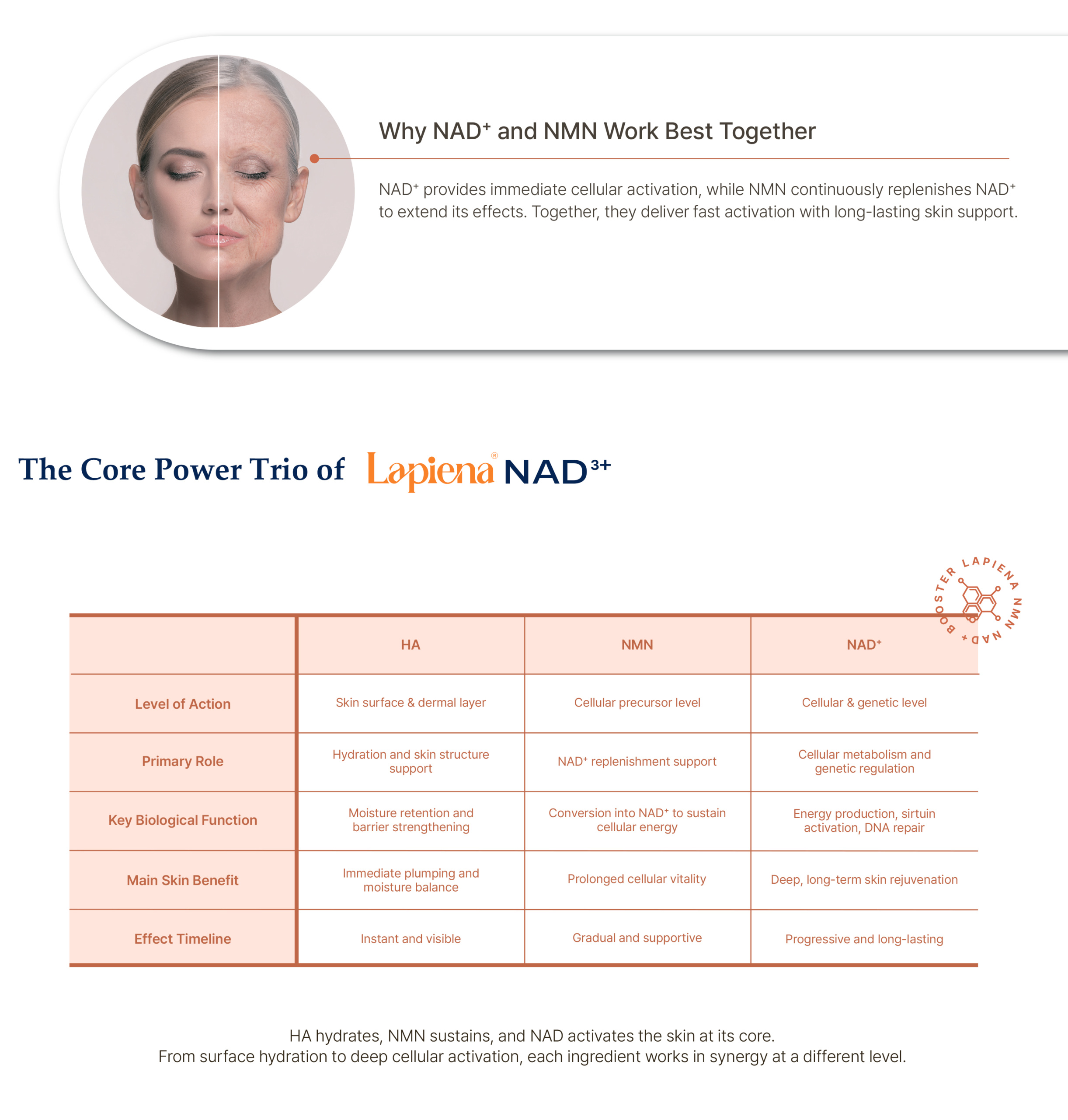Lapiena NAD3+ - image 14